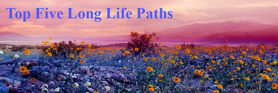 Top Pic 5 Long Life Paths